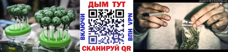 Купить где  Вязьма  Cannafood конопля 