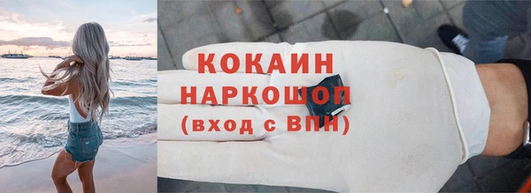 сатива Кодинск