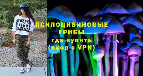 гашик Кинешма