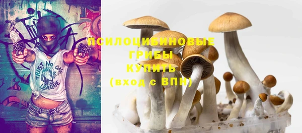 сатива Кодинск