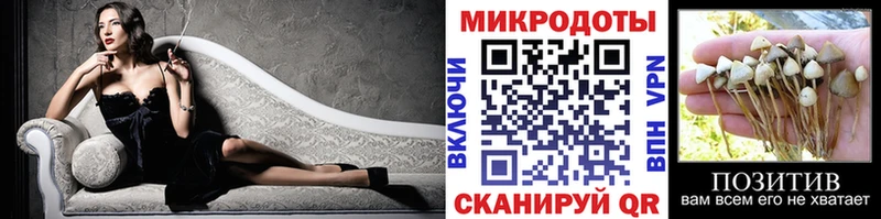 Купить закладки  Вязьма  Псилоцибиновые грибы Magic Shrooms 